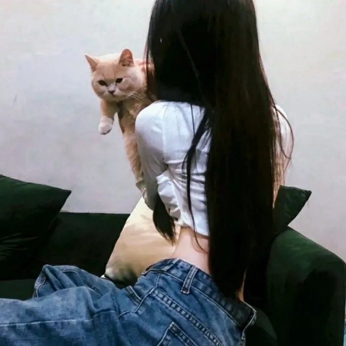 聚焦